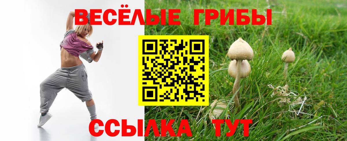 Галлюциногенные грибы ЛСД  Галлюциногенные грибы Psilocybine cubensis  Вход с VPN  Советская Гавань 