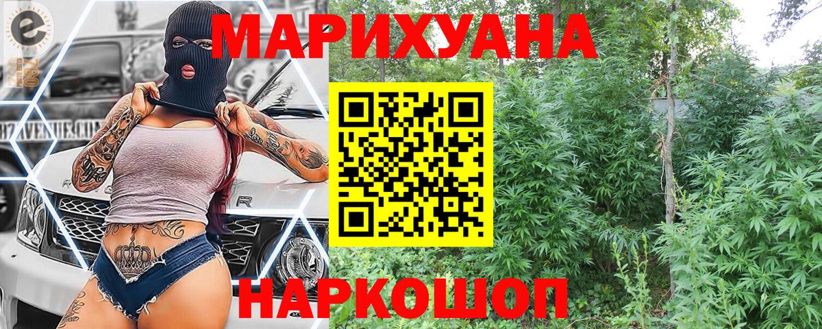 Советская Гавань  Каннабис семена  Канабис OG Kush  МАРИХУАНА OG Kush  Вход с VPN  Марихуана гибрид 